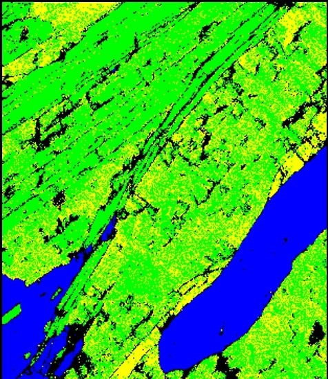 A phase map demonstrating that it is difficult to distinguish biotite and muscovite mica