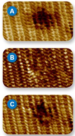 PeakForce QNM images revealing a molecular defect on a polydiacetylene crystal, in air. Individual molecules are resolved in height (A) as well as adhesion (B) and stiffness (C) maps, with a notable decrease in stiffness at the defect site. Image size 10nm.