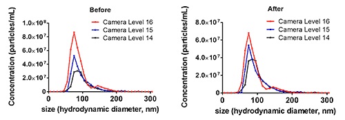 Exosome concentration data showing improved accuracy and precision after the NTA Concentration Measurement Upgrade at three different camera levels.