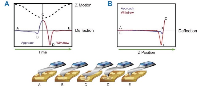 (A) Modulation of AFM probe at low frequency in PeakForce Tapping Mode. (B) A force curve obtained at every position of the sample surface considering motion of probe in terms of Z position