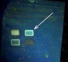 Optical image of sample during analysis as seen by instrument camera system.