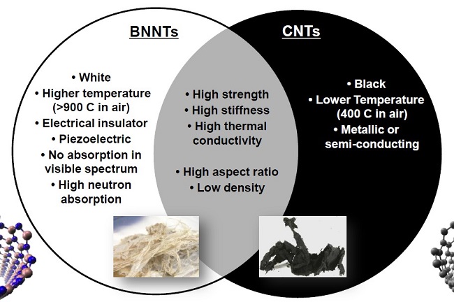 Comparison between the main properties of BNNTs and CNTs