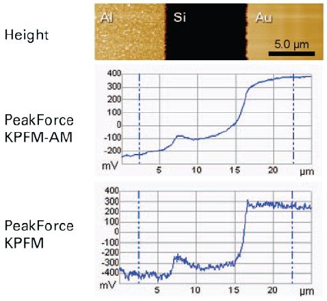 Height (top) and potential profiles using PeakForce KPFM-AM (middle) and PeakForce KPFM (bottom) on the Bruker KPFM standard sample, on the same location and with the same tip (PFQNE-AL).