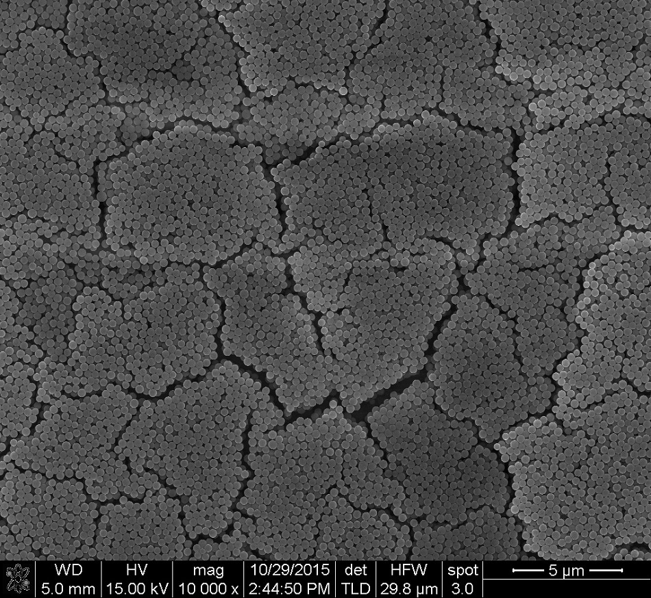 A secondary electron image of dispersed SiO2 nanoparticles using the Stöber process. Image includes various artifacts including cracks from close-packed material drying and horizontal contrast gradients from sample charging. Conventional analysis would require manual counting of the individual nanoparticles and manual measurement of their diameter.