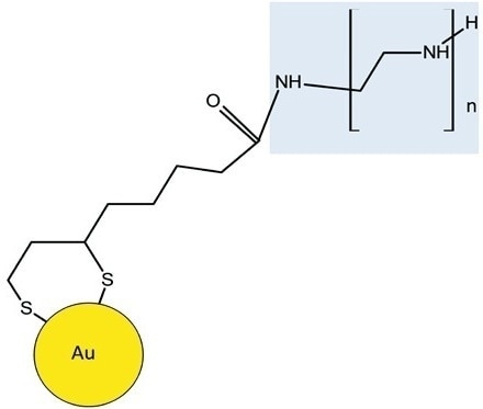 Schematic shows BPEI is attached to the lipoic acid-Au through an amide linkage. The BPEI moiety of the molecule is highlighted in blue.