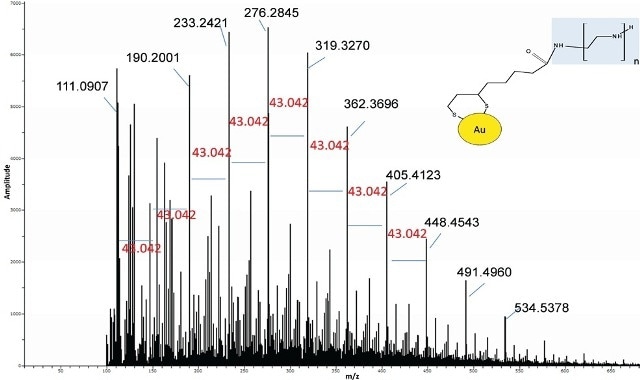 Spectrum of Au-lipoic acid-BPEI nanoparticles was similar to the BPEI standard suggesting BPEI was bound to the Au.
