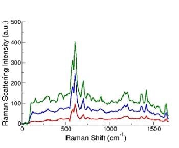 Sample SERS spectra from SERS tag-labeled microparticles.