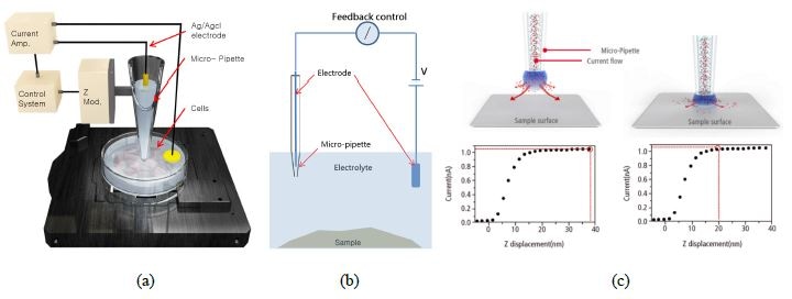 The snapshots showing the (a) SICM hardware setup, (b) circuit mechanism and (c) current-distance relationship between the pipette end and the sample surface.