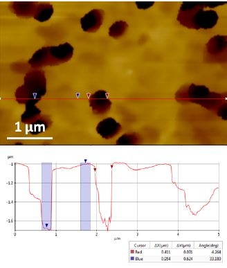 Topography images of 400 nm diameter pore polycarbonate membrane recorded in PBS solution with SICM ARS mode. The average pore depth is ~ 600 nm.