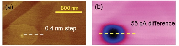 PeakForce SECM images of an HOPG sample: (a) topography; (b) electrochemistry (adapted from Nellist et al., Nanotechnology, 2017, 28(9), 095711, IOP Publishing30).