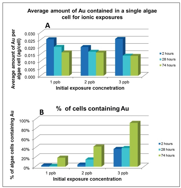 Average amount of Au contained in each cell (A), % of cells containing Au (B). Both studies were conducted at exposures of 1, 2, and 3 ppb Au over 74 hours.