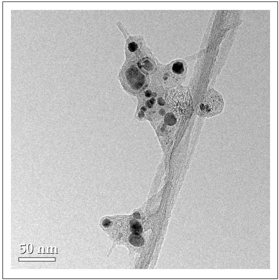 Transmission electron microscopy (TEM) images of CNTs showing electron dense metal NPs associated with amorphous graphitic material and long SWCNTs