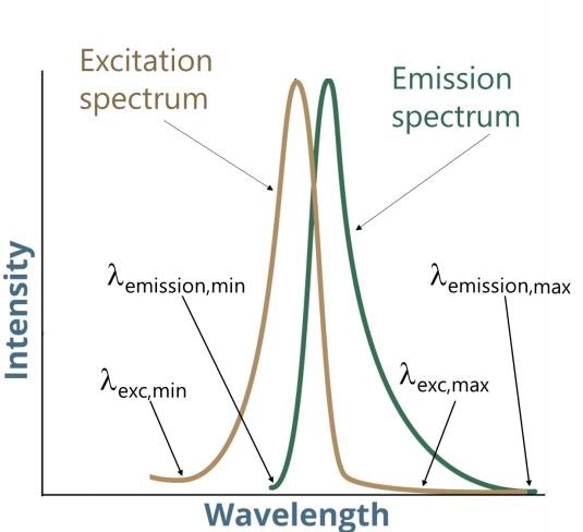 Illustration of a fluorescent molecules’ excitation and emission spectra.