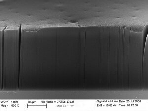 A Vertically Aligned Carbon Nanotube Array