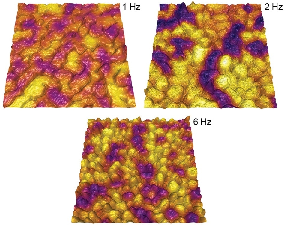 MFM evaluation of ferromagnetic FePt films grown by pulsed laser deposition (PLD). Understanding how magnetic behavior depends on PLD laser frequency could enable better control of film properties for applications such as data storage and recording. In these images, light (yellow) and dark (purple) regions represent domains polarized in the up and down directions, respectively. Overlaying the MFM phase signal on topography shows that the films deposited at 2 Hz and 6 Hz form single domain structures that correlate exactly with FePt islands. The 1 Hz film has a percolated morphology and forms multiple magnetic domains.Scan size 1 µm. Acquired with the MFP-3D AFM. Adapted from Ref. 13.
