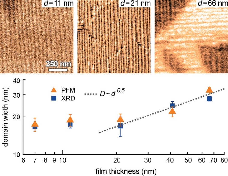 Strain effects in ferroelectric NaNbO3 (NNO) films grown on TbScO3 (TSO) substrates with metal organic chemical vapour deposition (MOCVD). Growth of epitaxial NNO on TSO results in significant anisotropic misfit strain. Understanding relations between strain, crystal structure, and ferroelectric response will enable finetuning of film properties. The lateral piezoresponse force microscopy (PFM) image on a film with thickness