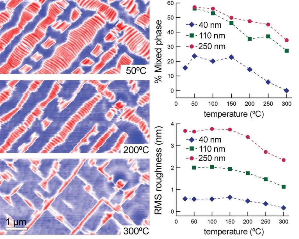 Temperature-dependent structural transformations in epitaxial BiFeO3 (BFO) films. Highly strained BFO is a multiferroic material that exhibits complex structural changes near room temperature. Understanding how these changes affect the electromechanical response will hasten applications in sensors, actuators, and electronic memory. (left) Topography images for a 110 nm thick film reveal regions of atomically flat terraces (blue) and mixed-phase regions (red) that evolve with temperature. Height scale 8 nm. Acquired with the PolyHeater stage on the MFP-3D AFM. (right) Structural parameters as a function of sample temperature and film thickness. (top) The percentage of mixed phase was calculated by masking the topography images to determine the areal ratio of mixed-phase regions to the entire sample area. (bottom) RMS roughness is an indicator of the volume fraction of mixed-phase regions in the films. Adapted from Ref. 6.