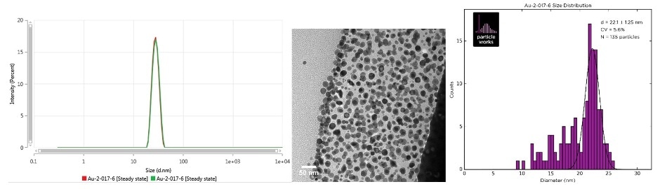 Intensity size distribution as measured by MADLS (left), TEM image (center) and the TEM size distribution (right) of Au-2-017-6