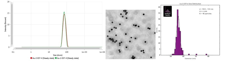 Intensity size distribution as measured by MADLS (left), TEM image (center) and the TEM size distribution (right) of Au-2-037-4