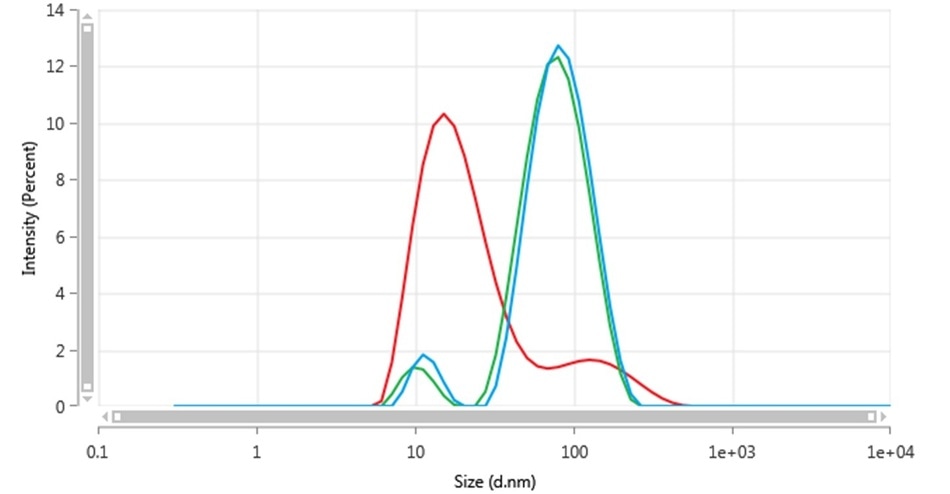 Intensity size distributions of Au-2-041-3 in backscatter using all polarizations (blue), vertical polarization (green) and horizontal polarization (red)