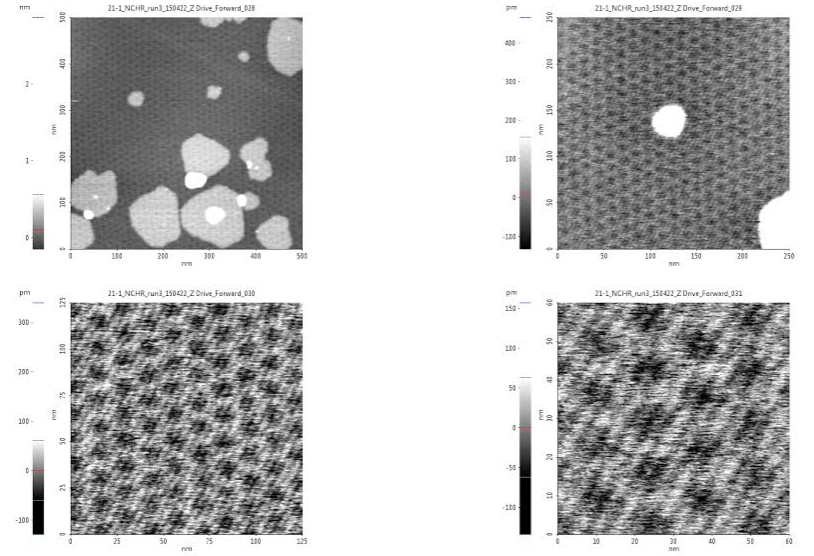 A series of four non-contact AFM topographical images of a graphene sample exhibiting moiré patterns: (a) at 500 x 500 nm, (b) at 250 x 250 nm, (c) at 125 x 125 nm, and (d) at 60 x 60 nm. All images were taken with a Park NX10 AFM system using the Park SmartScan operating software’s Auto mode.