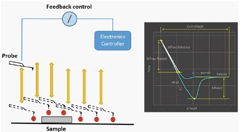 Principles of PinPoint’s™ nanomechanical mode by Park Systems. This diagram demonstrates the feedback-controlled approach and retraction of a probe at multiple sites along a sample’s surface. Feedback control from the AFM systems’ controller allows this technique to acquire both surface topography. The F/D curve demonstrates how Pinpoint extracts mechanical property data.