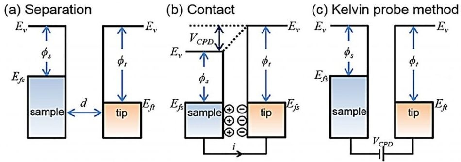 Electronic energy levels of the sample and AFM tip for three cases: (a) tip and sample are separated by distance d with no electrical contact, (b) tip and sample are in electrical contact, and (c) external bias (VDC) is applied between tip and sample to nullify the CPD and, therefore, the tip–sample electrical force. Ev is the vacuum energy level. Efs and Eft are Fermi energy levels of the sample and tip, respectively.
