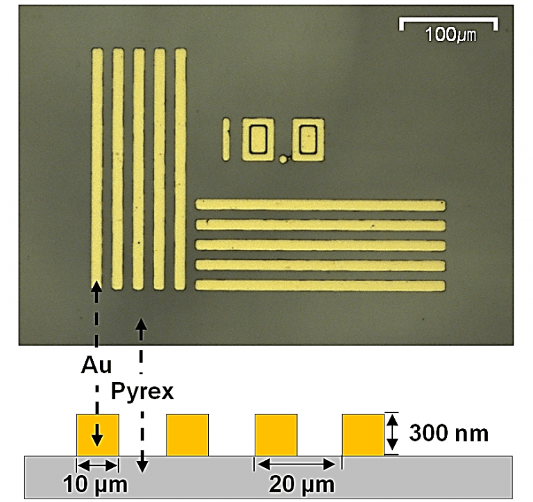 SICM-SECM standard sample. The sample consisted of Au bars with a width of 10 µm and a height of 300 nm on Pyrex substrate. The pitch width is 20 µm.