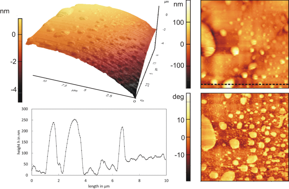 3D and 2D topographical scan of a hydrophobic rough particle with nanobubbles (top left and right) with corresponding phase contrast image (bottom right) and line profile (bottom left).