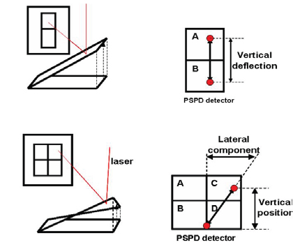 Schematic illustration of laser position on PSPD in the operation of AFM (top) and LFM (bottom).