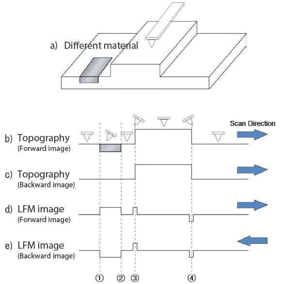 (a) Schematic illustration of the sample of interest, (b) Cantilever deflection during scanning, (c) Line scan of topographical signal; Line scan of LFM signal when scanning from left to right (d) and right to left (e).