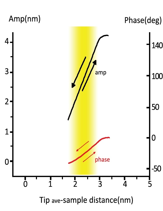 Amplitude vs. distance plot under the net attractive force regime