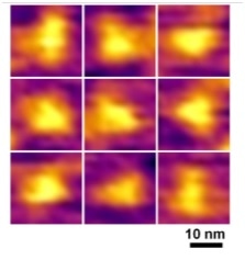 Atomic force microscopy (AFM) produced on an Asylum Research Cypher AFM image of a protein nanotriangle. Produced under ambient conditions. Image credit: Scientific Reports.