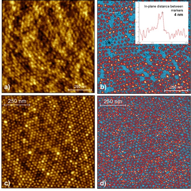 Tapping mode height images with PS-b-PMMA (a) and PS-b- P4VP directed self-assemblies (c). The nanopatterns are spherical with 10–20 nm domains. Tapping AFM-IR image at 1730 cm-1 highlights PMMA beads embedded in the polystyrene matrix (b). The ratio image at 1492 cm-1/1598 cm-1 illustrates distribution of PS relative to P4VP in the patterned wafer (d). The inset in (b) shows the IR intensity variation along the white dashed line in the main panel. A spatial resolution of 4 nm is observed.