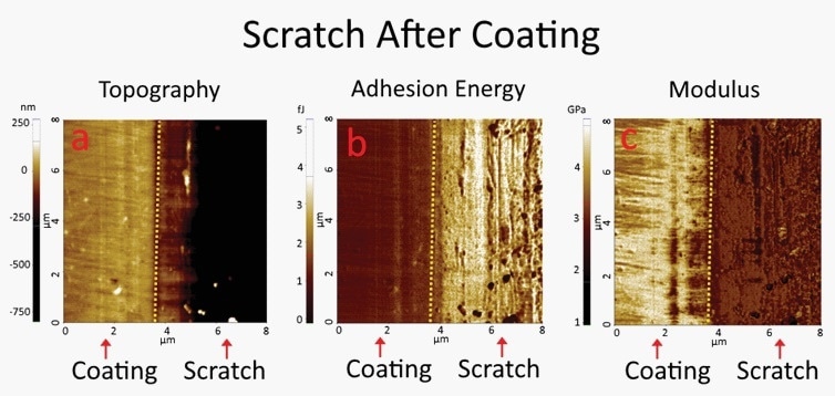 PinPoint™ nanomechanical mode images of a glass substrate when the scratch was created after a coating was applied. The contrast between the coating area and the scratched area is clearly visible in both adhesion energy and modulus images.
