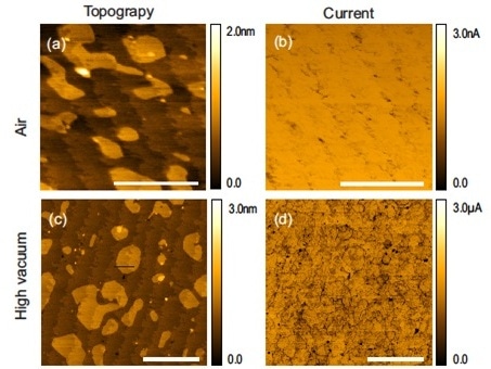 C-AFM from the same 3-4 MoS2 sample illustrating the higher current level and sensitivity under high vacuum. (a) Topography and (b) current images in air at 5 V bias. (c) Topography and (d) current images taken straight after pumping to high vacuum at 0.5V bias. The data taken in air and high vacuum was obtained with the use of the exact same parameters: same probe with spring constant k of 7 N/m, set point of 10 nN, and 1 Hz scan rate. Scale bar is 500 nm.