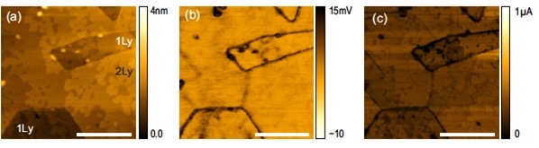 (a) Topography, (b) Friction, and (c) current obtained at the same time on an 1-2 layer as-grown MoS2/sapphire sample. The layer thickness of each region is shown in (a). Scale bar is 200 nm.