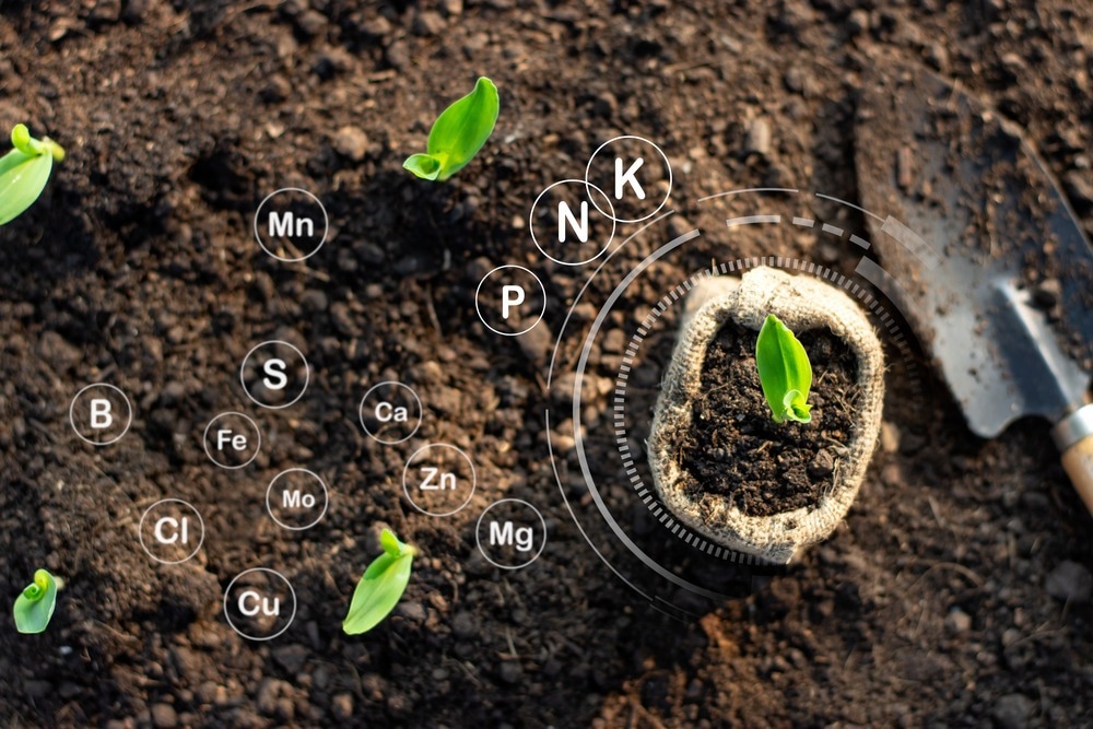 The Use of Nanotechnology in Fertilizers
