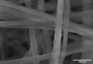 SEM image of uncoated PvDF electrospinning fibers, poor contrast and charging effect is visible.