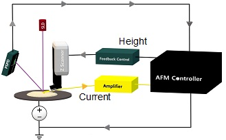 Schematic view of the Conductive AFM set-up. While the topography feedback is run over the z scanner with keeping a constant laser deflection on the PSPD and, therefore, a constant tip-sample force, the tip-sample current is amplified and recorded under a constant sample bias.