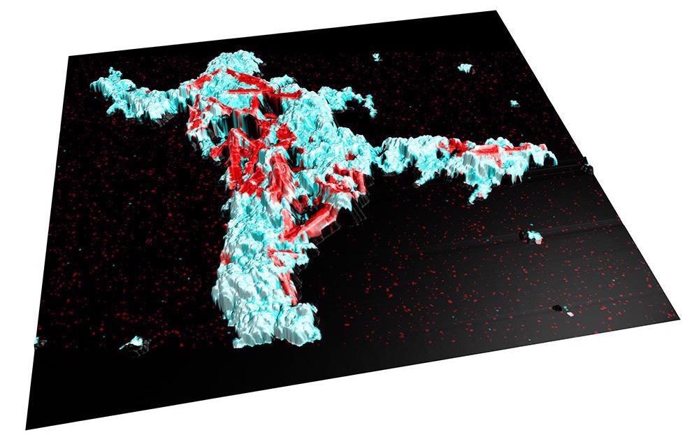 3D view of colocalized data (AFM topography + SEM image + EDX data).