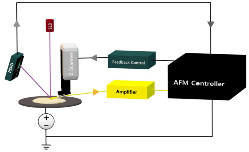 Schematic Illustration of C-AFM and SSRM AFM.