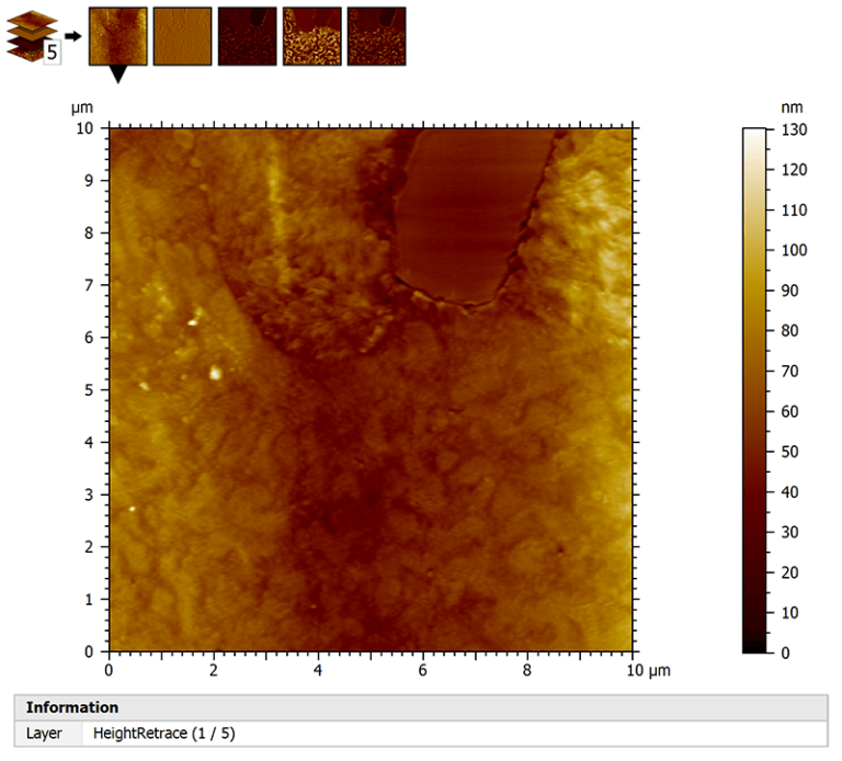 Multi-channel AFM data (displayed in 2D), including phase and topography channels.