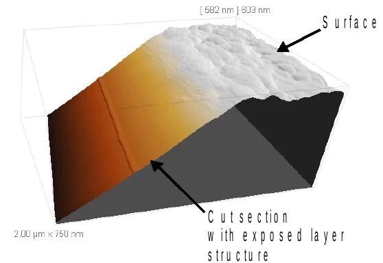 AFM micrograph showing the 3D topography of the cut-out section