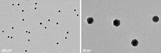 Gold Nanoparticles prepared in vacuum in the NL50.