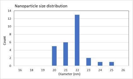 Size distribution of gold nanoparticles from Figure 1.