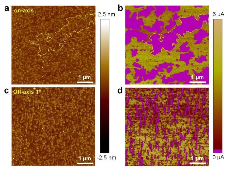 (a, c) C-AFM topography of 1.3 ML MoS2 grown on on-axis and off-axis 1º cut sapphire, respectively. (b, d) The simultaneously acquired C-AFM current maps of (a, c), respectively. Non-homogenous and poorly conductive regions in the first single layer of MoS2 are highlighted in pink by current thresholding (~ 0.3 µA).