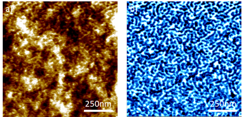 Automatic Atomic Force Microscopy (AFM) with the FX40