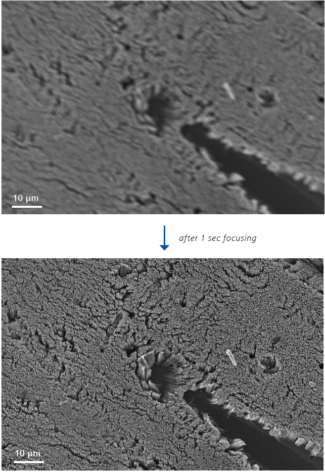 Example of ultra-fast fine focus. Sample: carbon nanotube forrest.