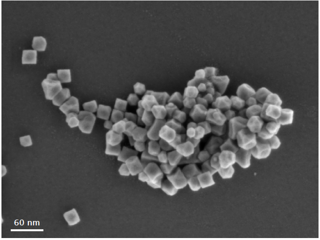 High resolution image of FeMn magnetic nanoparticles obtained at 1 kV beam energy. Even though the sample is magnetic, the highest resolution can still be achieved.